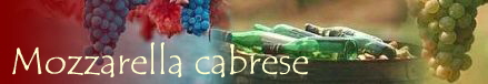 Mozzarella cabrese