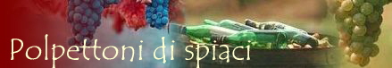 Polpettoni di spiaci