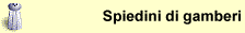 Spiedini di gamberi