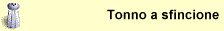 Tonno a sfincione