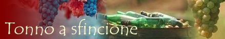 Tonno a sfincione
